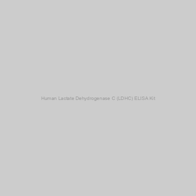 Human Lactate Dehydrogenase C (LDHC) ELISA Kit